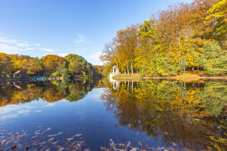 Avis car hire in Krefeld